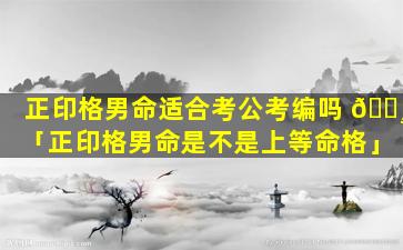 正印格男命适合考公考编吗 🕸 「正印格男命是不是上等命格」